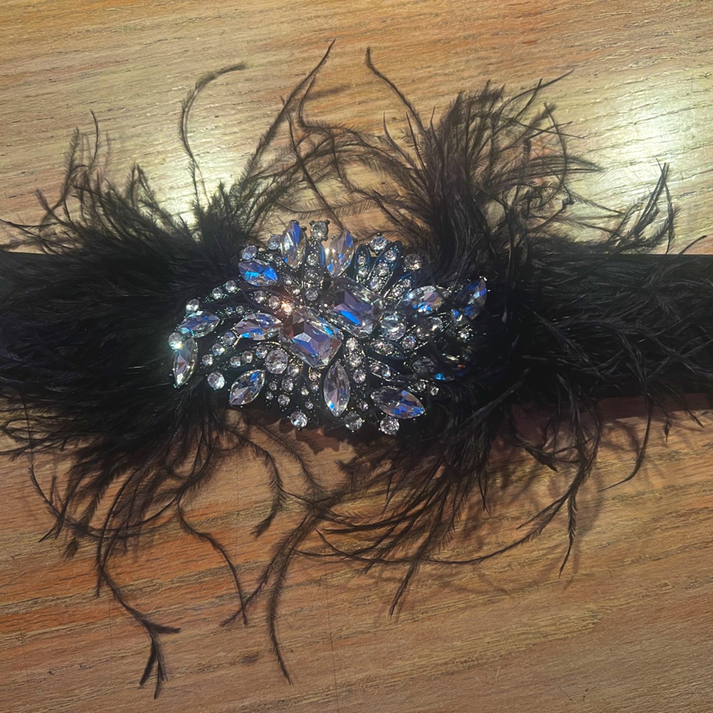 Belt, sparkly beautiful WHBM rhinestone and feather, perfect with dress/jumpsuit